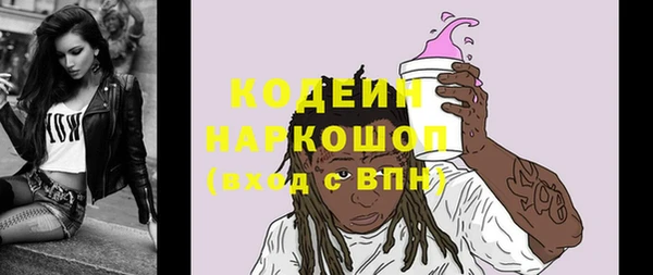 ECSTASY Пересвет