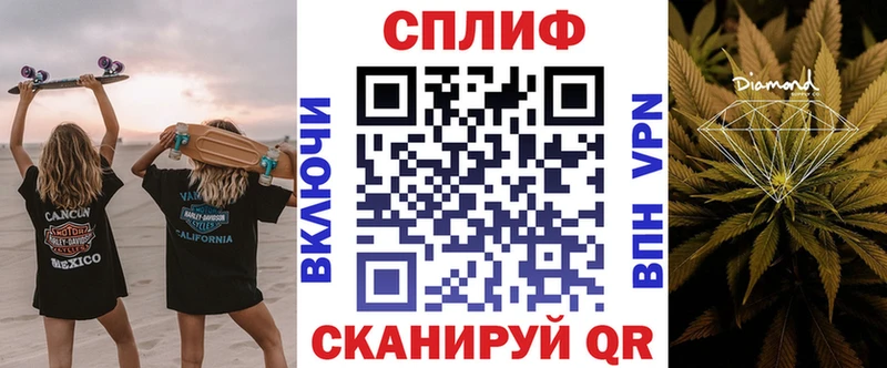 Конопля гибрид Мончегорск